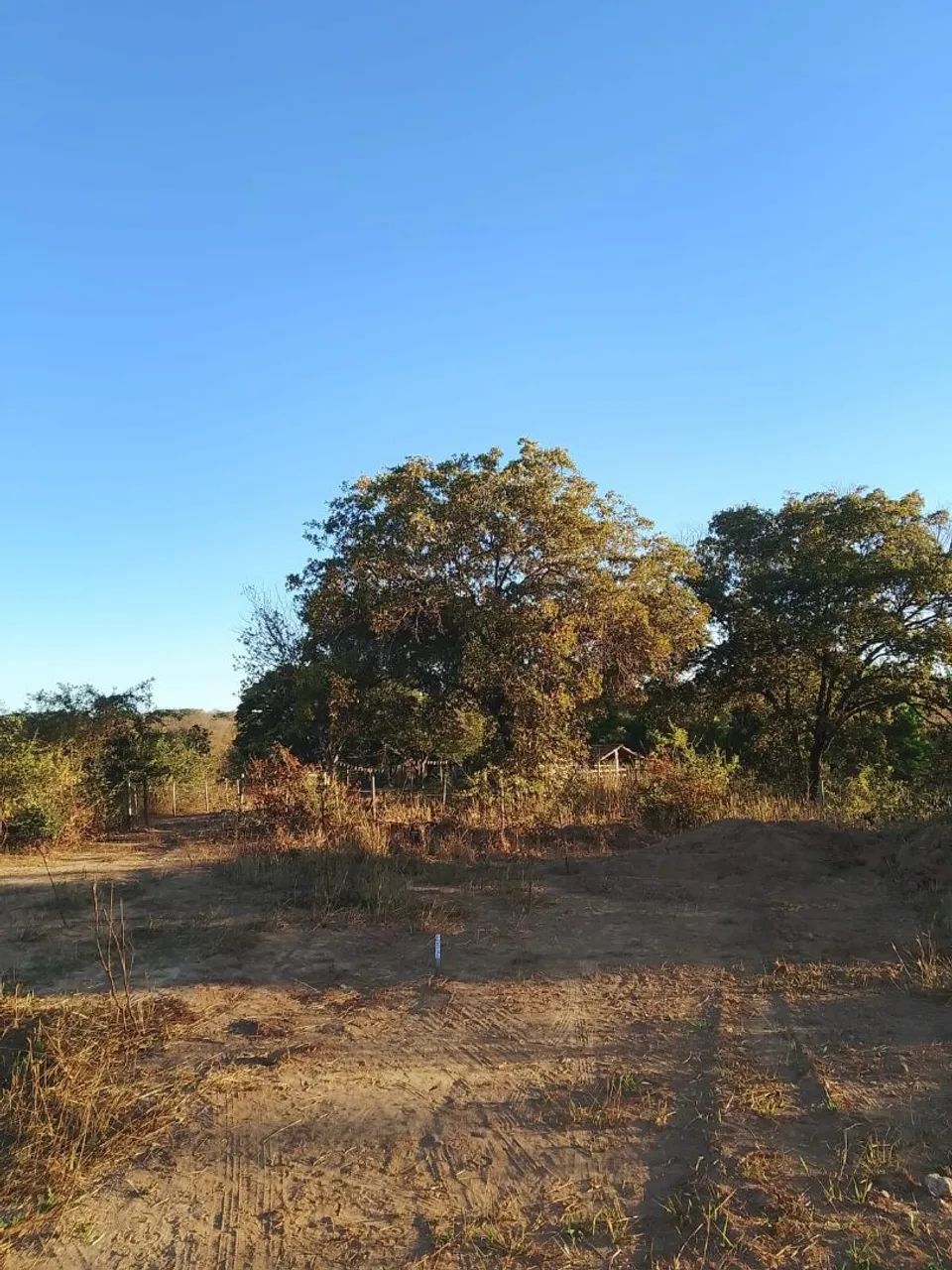 Chácaras  - Foto 2