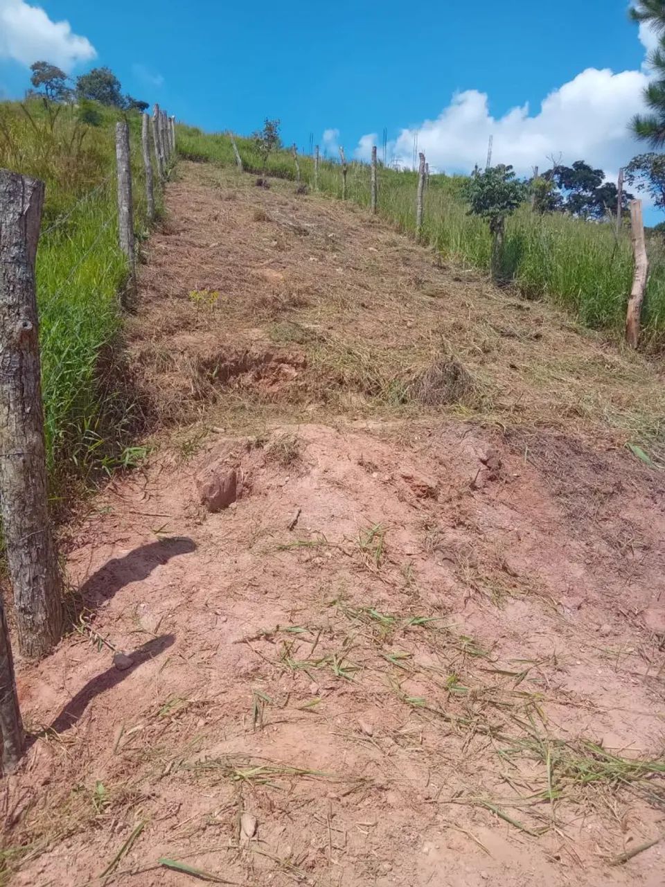 Foto - São Roque - Alto do Sabiá e Tijoleiro (São João Novo)