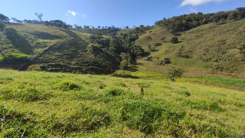 Foto - Paraisópolis - 