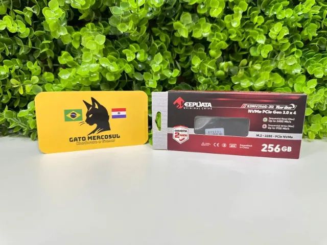 SSD Keepdata, 256GB, M.2 - Foto 2