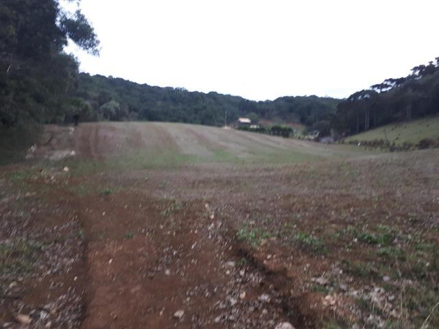 Chacara com 36.000m² juruqui