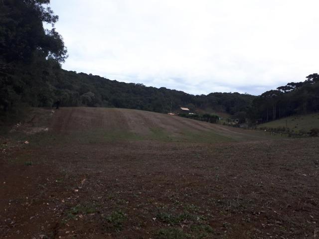 Chacara com 36.000m² juruqui - Foto 8