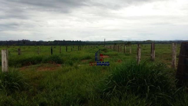 Fazenda Localizada na cidade de Buritis-RO - Foto 7