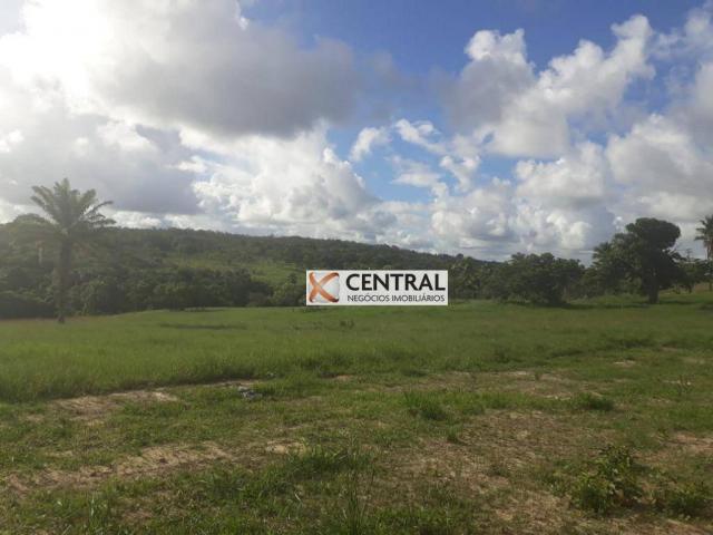 Fazenda à venda, 834268 m² por R$ 800.000,00 - Zona Rural - Mata de São João/BA