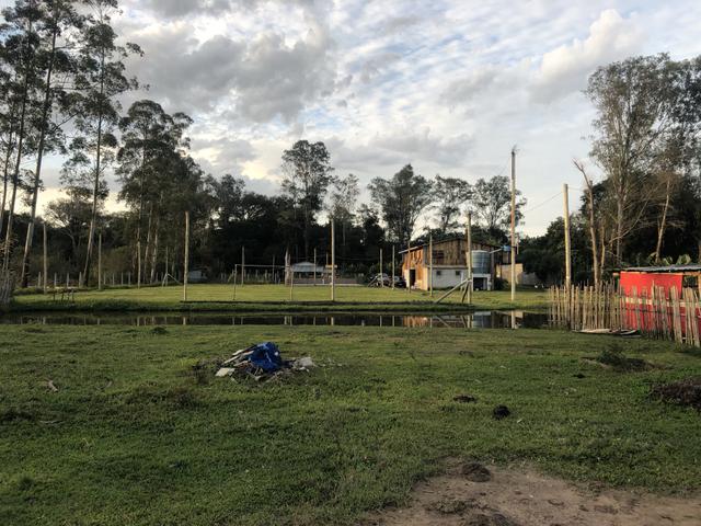 Sítio de 2,5 hectares - Foto 10