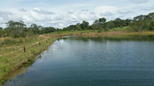 Sitio 120 hectares em Livramento - Foto 5