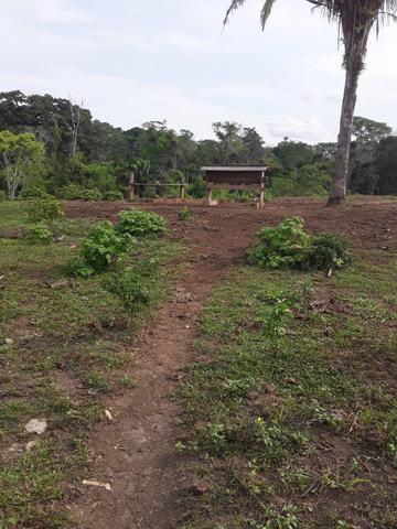 Vende-se - Foto 5