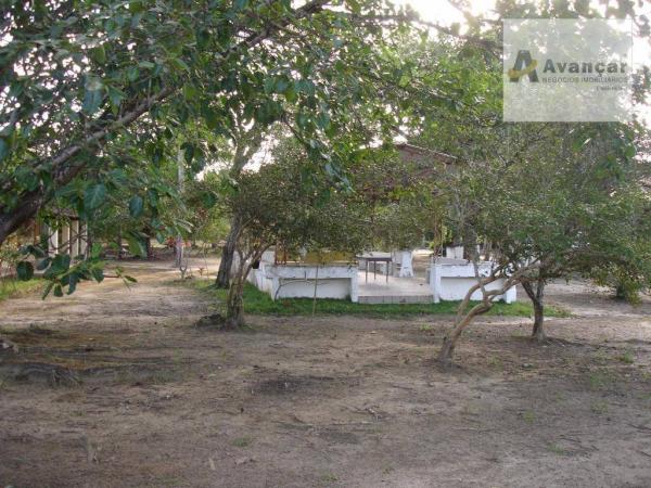 Chácara com 3 dormitórios à venda, 20000 m² por R$ 500.000,00 - Carne de Vaca - Goiana/PE - Foto 5