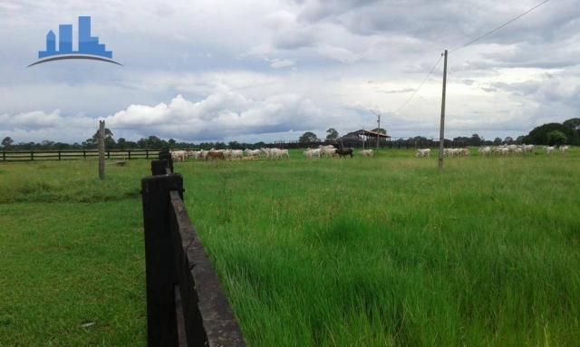 FAZENDA PARA GADO DE 14.950 HECTARES NA REGIÃO DE POCONÉ-MT - Foto 5