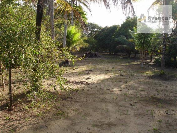 Chácara com 3 dormitórios à venda, 20000 m² por R$ 500.000,00 - Carne de Vaca - Goiana/PE - Foto 7