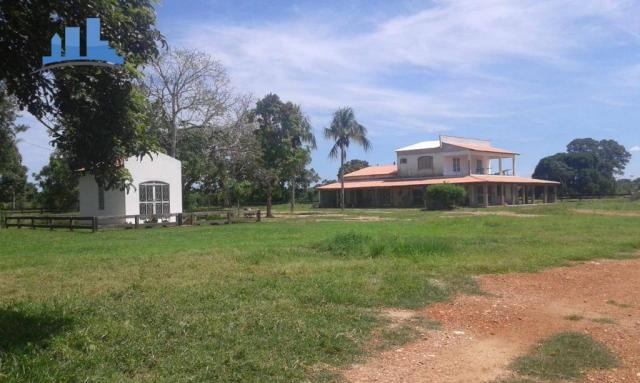 FAZENDA PARA GADO DE 14.950 HECTARES NA REGIÃO DE POCONÉ-MT - Foto 3
