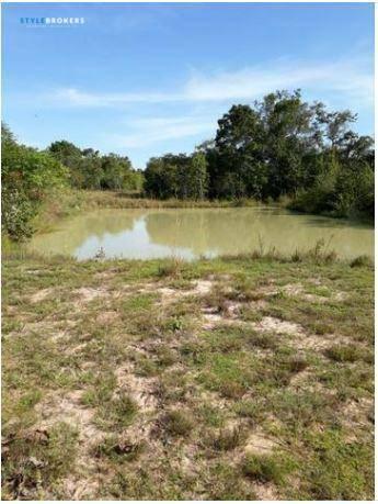 Chácara no Município de Rosário Oeste com 5 dormitórios à venda, 270000 m² por R$ 300.000 - Foto 3
