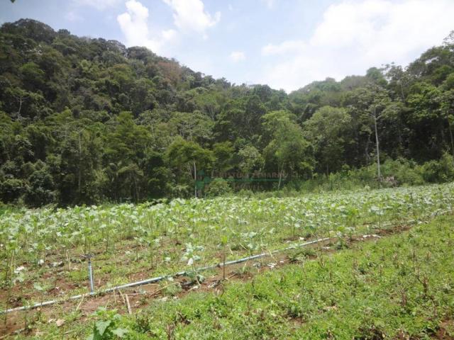 Sitio com 780.000 m² por R$ 1.150.000 - Ponte Nova - Teresópolis/RJ - Foto 13