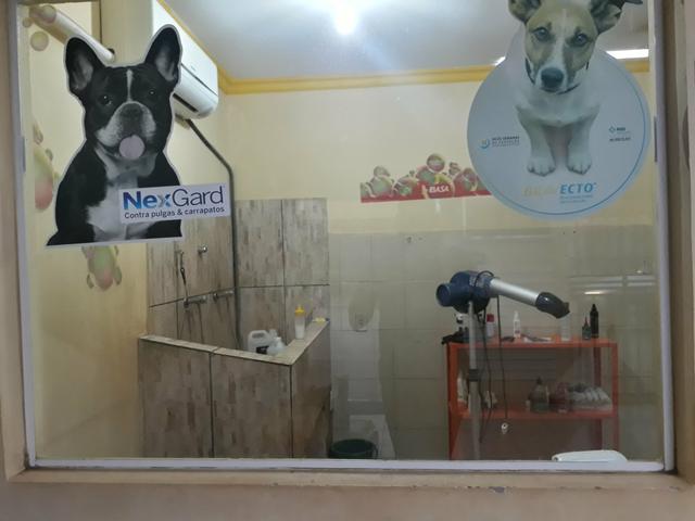 Vendo petshop - Foto 2