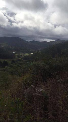 Terreno residencial à venda, Vieira, Teresópolis. - Foto 4