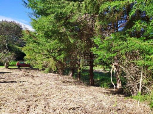 Terreno à venda, 465 m² por R$ 48.000,00 - Venda Nova - Teresópolis/RJ - Foto 6