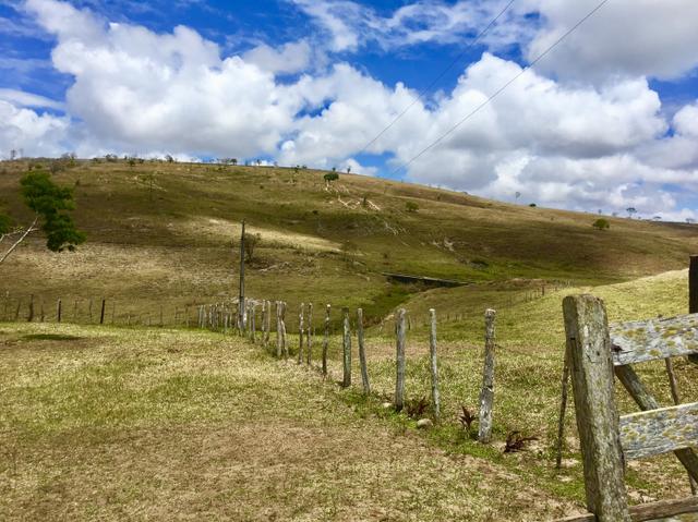 Fazenda em Boa Nova BAHIA com 167he - Foto 4