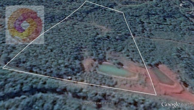 Chácara à venda, 23000 m² por R$ 180.000 - Palmerinha - Campina Grande do Sul/PR - Foto 12