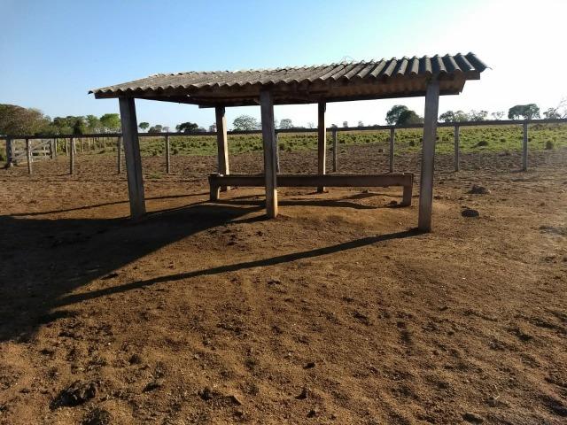 Fazenda Cocalinho MT - Foto 5