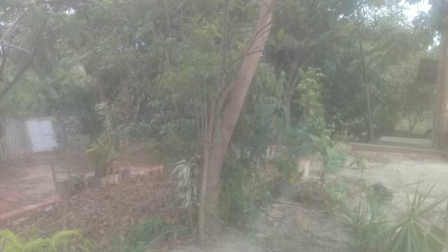 Sítio - Foto 5