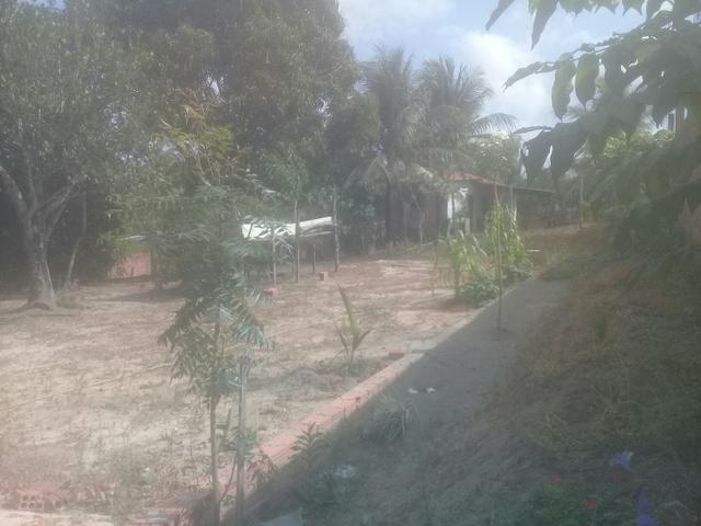 Sítio - Foto 7