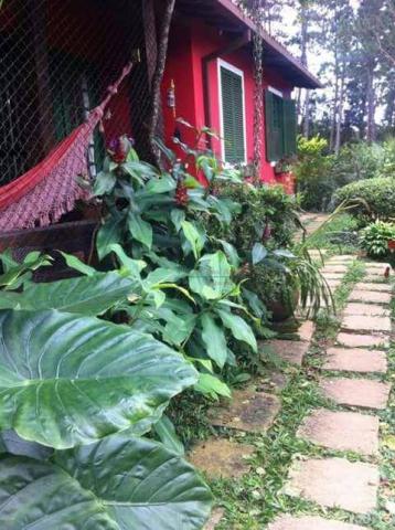 Sítio rural à venda, Colônia Alpina, Teresópolis. - Foto 17