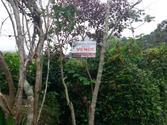 Terreno residencial à venda, Parque do Ingá, Teresópolis. - Foto 2