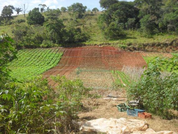 Sítio rural à venda, Venda Nova, Teresópolis. - Foto 15