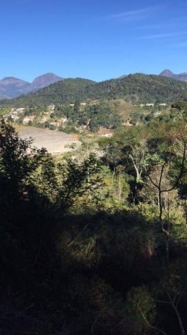 Terreno residencial à venda, Prata, Teresópolis. - Foto 3