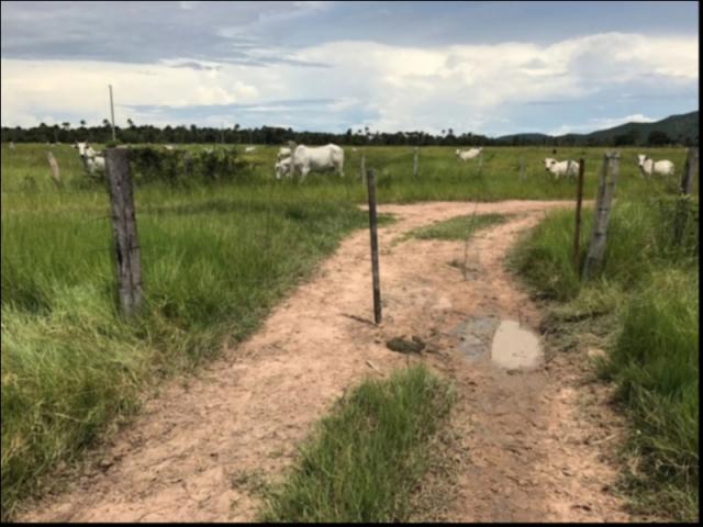 Fazenda no Fazenda em Santo Antonio do Leverger - Foto 2