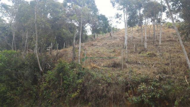 Terreno residencial à venda, Quinta da Barra, Teresópolis. - Foto 5
