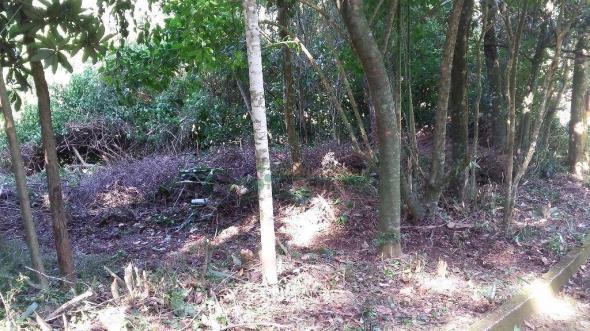 Terreno residencial à venda, Três Córregos, Teresópolis. - Foto 5