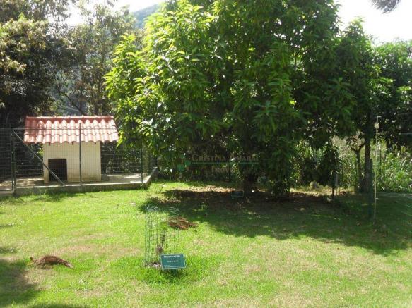 Sítiio em Teresópolis - Foto 18