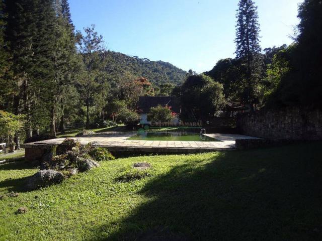 Sítio rural à venda, Córrego das Pedras, Teresópolis. - Foto 7