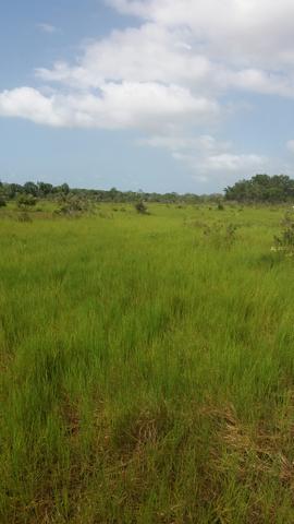 Fazenda 1.370hectares 110km Belém do Pará documentado