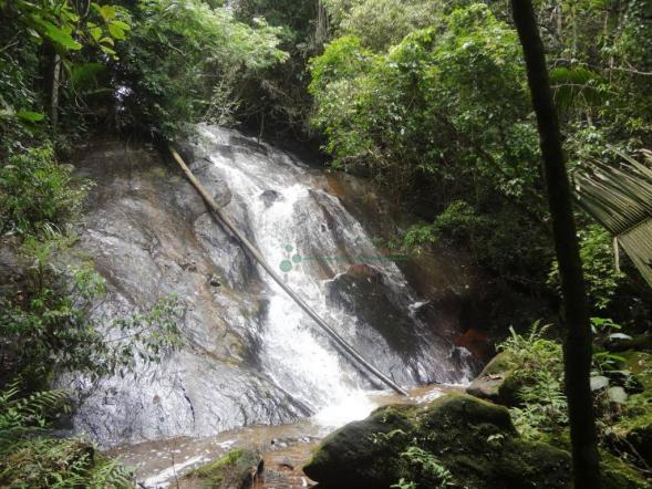 Sitio com 780.000 m² por R$ 1.150.000 - Ponte Nova - Teresópolis/RJ - Foto 19