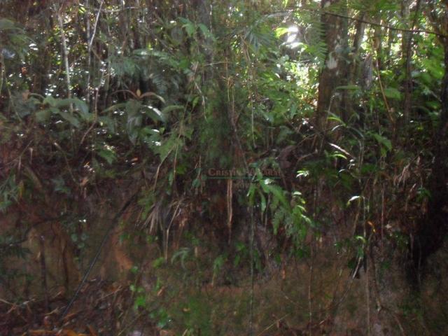 Terreno residencial à venda, Vargem Grande, Teresópolis. - Foto 20
