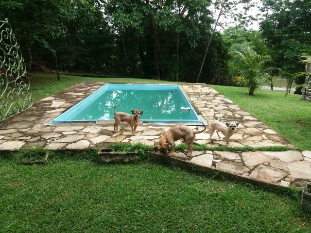 Vendo pesqueiro maravilhoso! - Foto 14