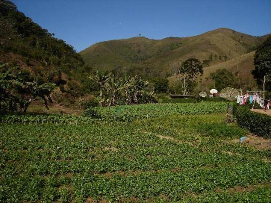 Área rural à venda, Providência, Teresópolis. - Foto 2