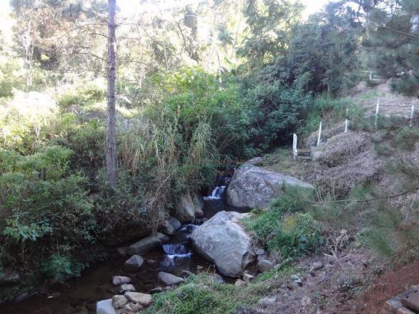 Sítio rural à venda, Córrego das Pedras, Teresópolis. - Foto 14