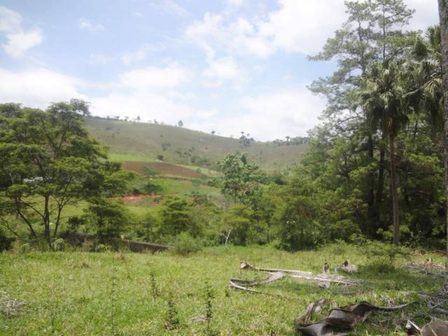 Sitio com 780.000 m² por R$ 1.150.000 - Ponte Nova - Teresópolis/RJ - Foto 9