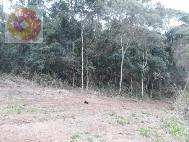 Chácara à venda, 23000 m² por R$ 180.000 - Palmerinha - Campina Grande do Sul/PR - Foto 8