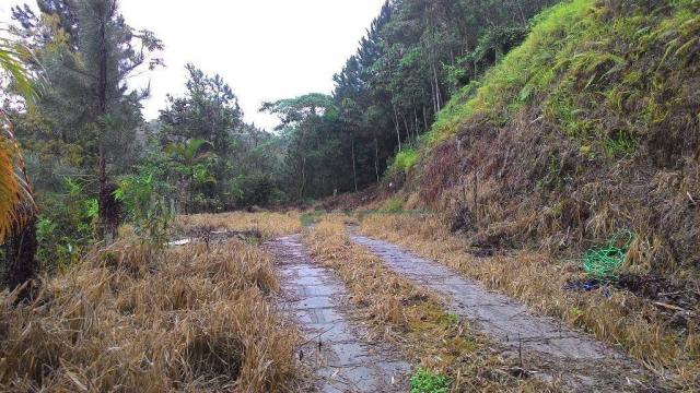 Terreno residencial à venda, Fazenda Boa Fé, Teresópolis. - Foto 2