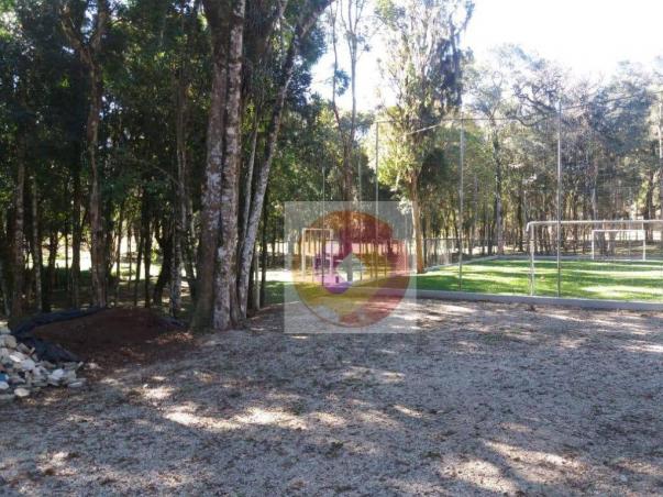 Chácara à venda, 10000 m² por R$ 650.000 - Zona Rural - Fazenda Rio Grande/PR - Foto 9