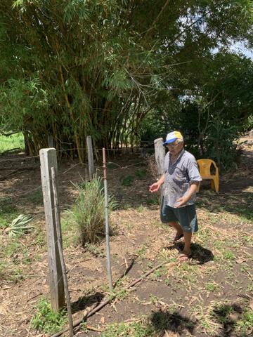Chácara na comunidade Carrijo - Foto 3