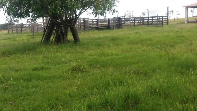Fazenda em São João da Aliança - Foto 12