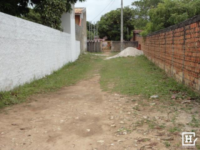 Terreno à venda - mosqueiro (zona de expansão) - Foto 4