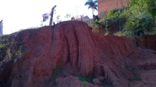 Terreno comercial à venda, ideal, novo hamburgo. - Foto 3