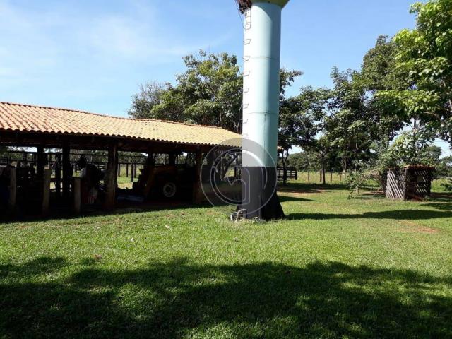 Fazenda 104 ha poconé mt - Foto 4