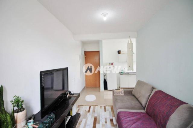 Apartamento com 2 dormitórios à venda, 42 m² por r$ 159.600 - operário - novo hamburgo/rs - Foto 3